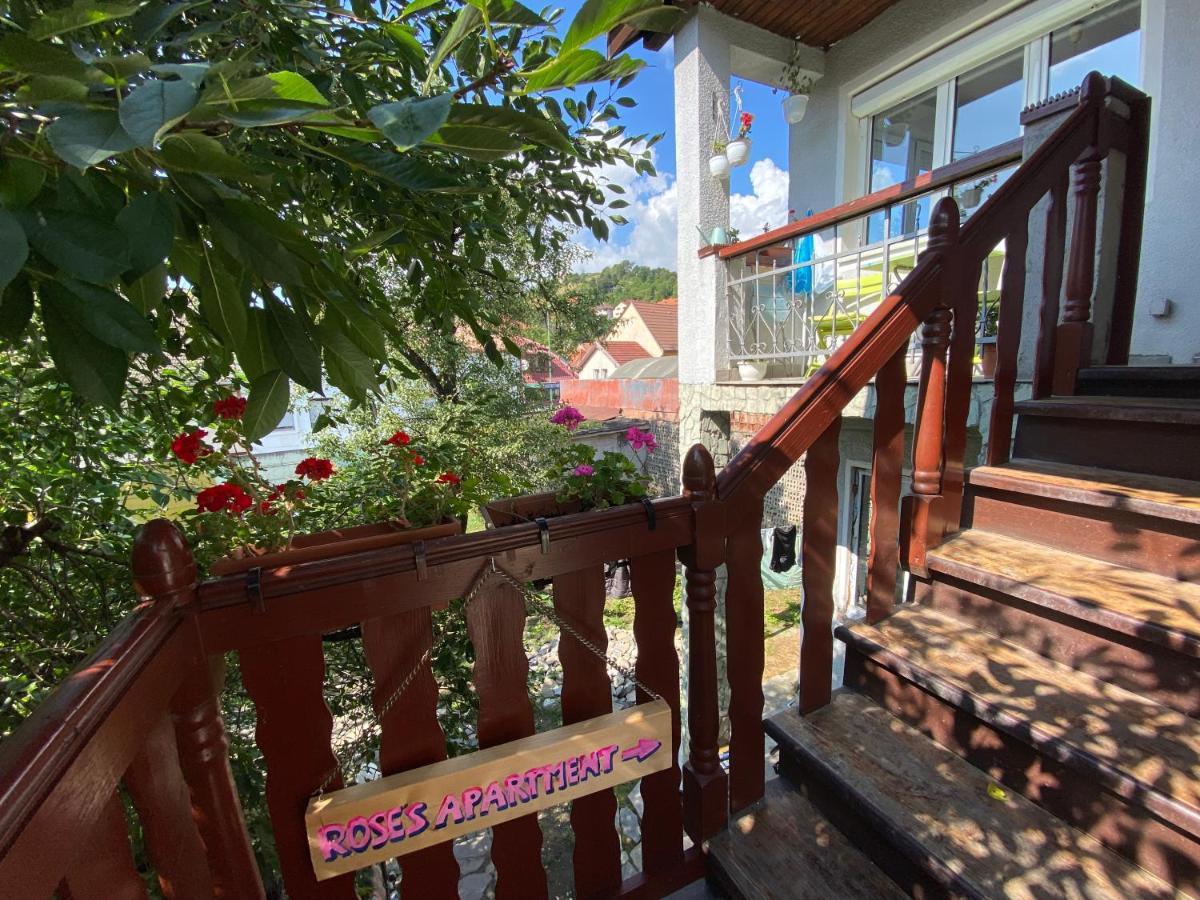 Rose'S Oldtown Apartment براشوف المظهر الخارجي الصورة