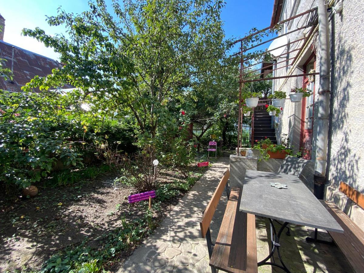 Rose'S Oldtown Apartment براشوف المظهر الخارجي الصورة