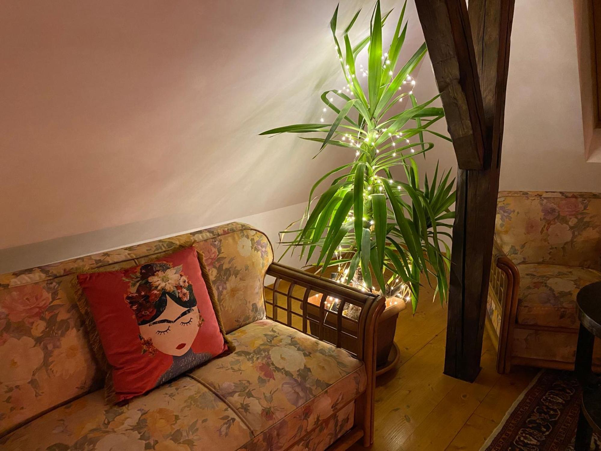 Rose'S Oldtown Apartment براشوف المظهر الخارجي الصورة