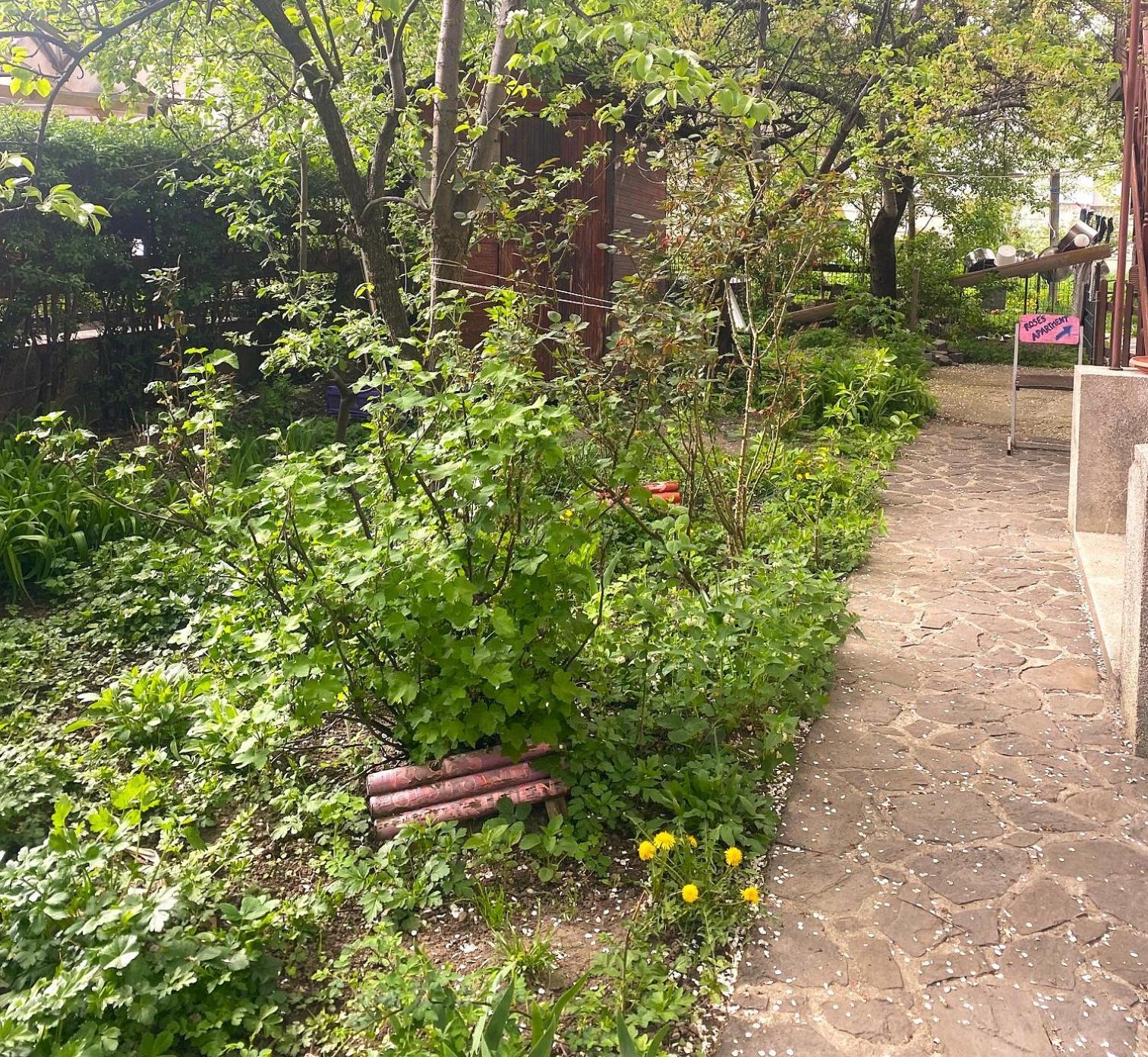 Rose'S Oldtown Apartment براشوف المظهر الخارجي الصورة