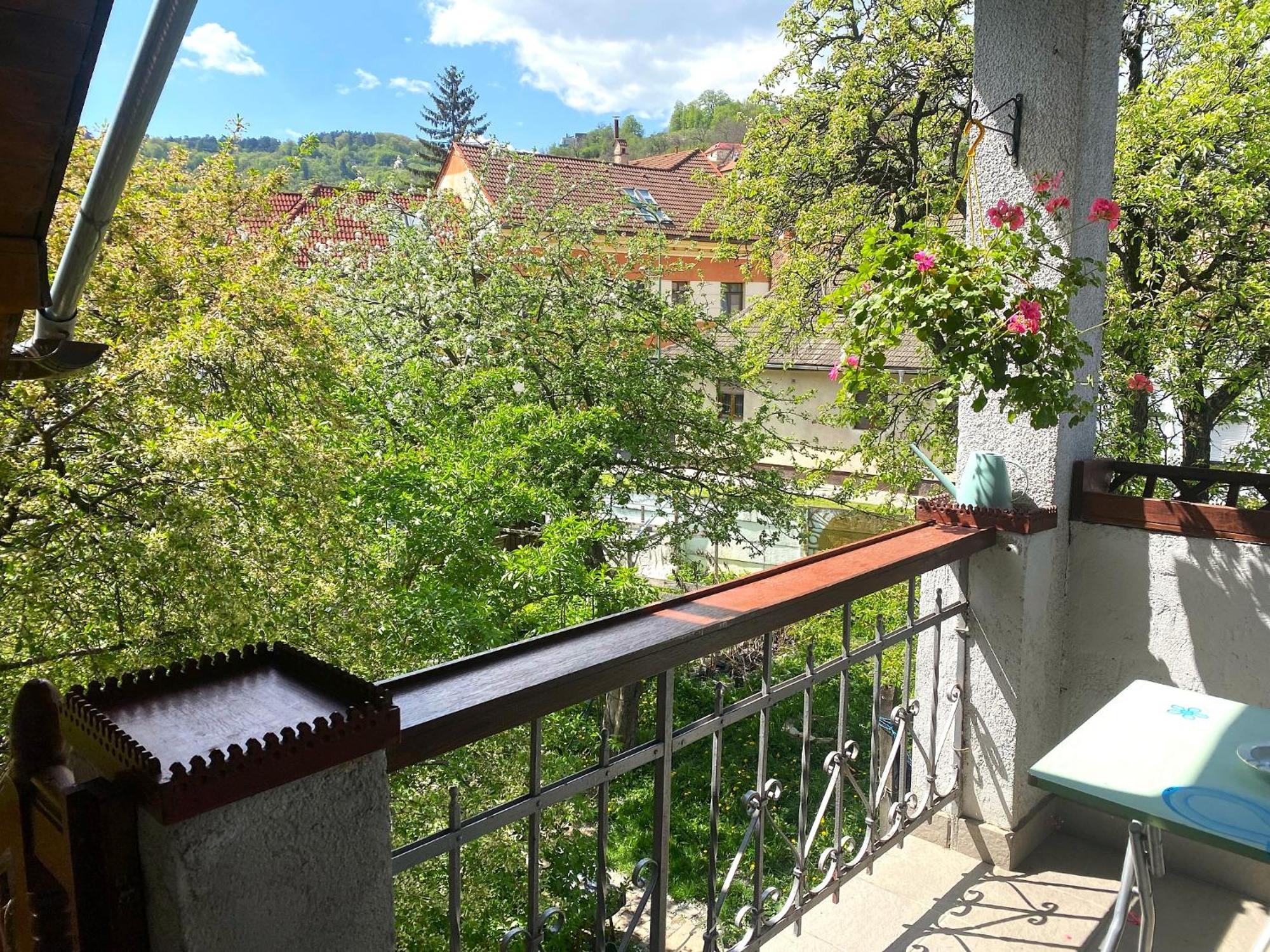 Rose'S Oldtown Apartment براشوف المظهر الخارجي الصورة